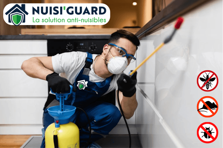 Nuisi'Guard dératisation et désinsectisation — société de nettoyage extrême à Lyon
