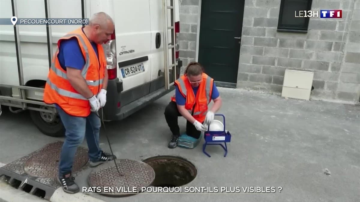 Poulain Environnement Services — société de nettoyage extrême à Douai