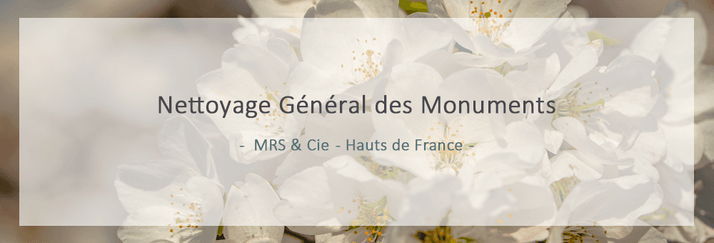 NGM Nettoyage Général des Monuments