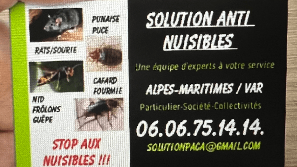 Solutions Anti-Nuisibles — société de nettoyage extrême à Cannes