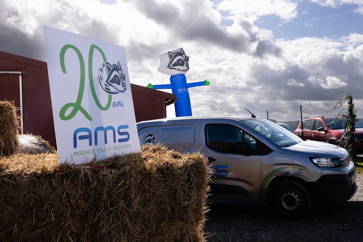 AMS - Agence Multi Services - Entreprise de nettoyage à Mulhouse — société de nettoyage extrême à Mulhouse
