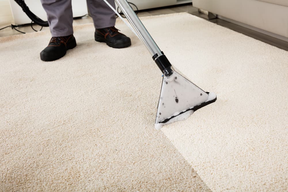 Société de Nettoyage Toulon : Tapis, moquettes, matelas, canapé, bateau - PARTNER PROPRETE — société de nettoyage extrême à Toulon