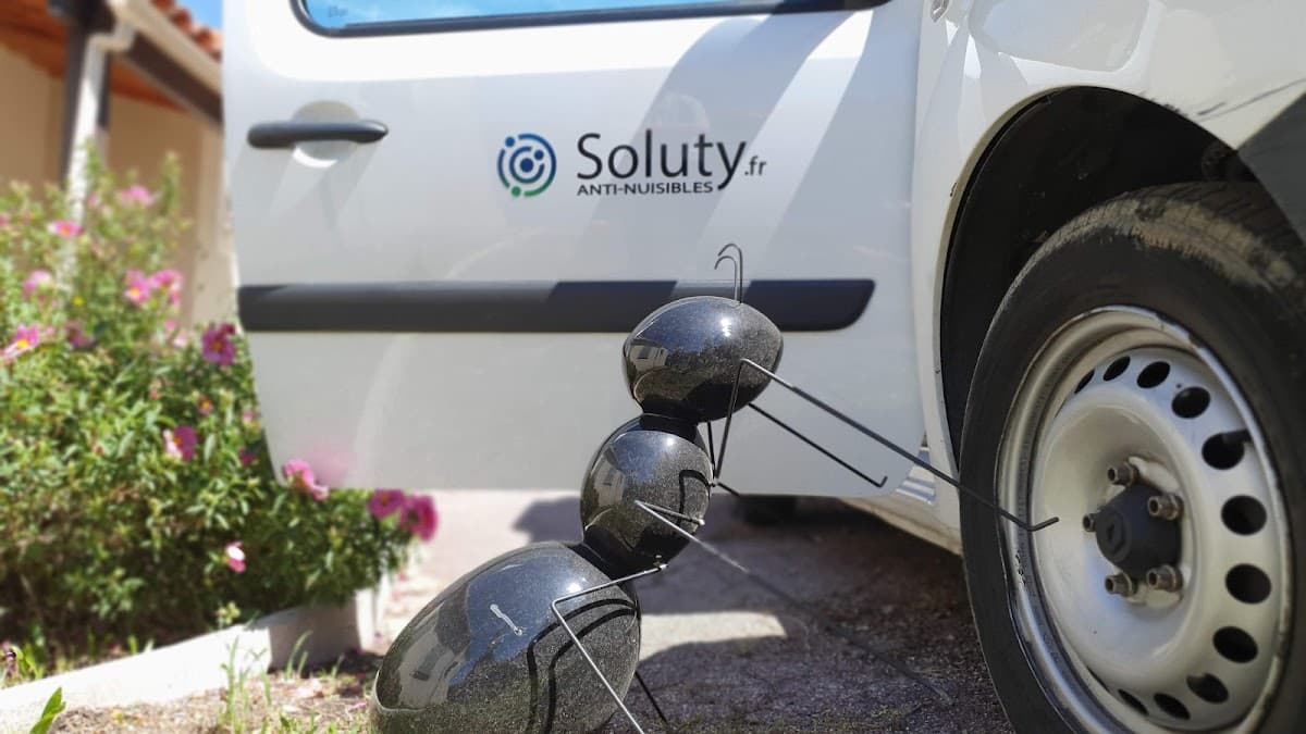 SOLUTY - Dératisation Désinsectisation Désinfection Cannes Grasse — société de nettoyage extrême à Cannes