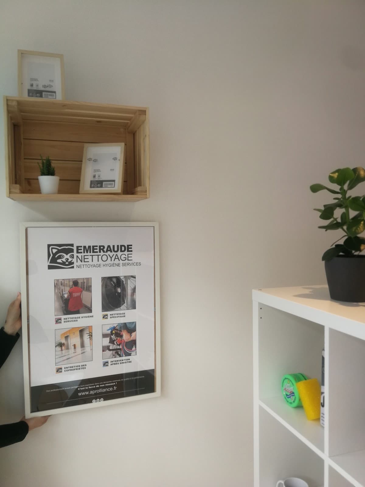 EMERAUDE NETTOYAGE | Nettoyage PRO à Saint Malo - Bureaux, vitrerie ... — société de nettoyage extrême à Saint-Malo