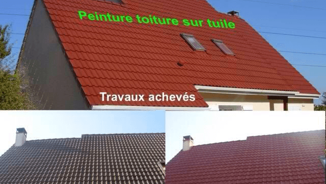 Nettoyage : Demoussage/Toiture/Chambéry 73 réparation sur toiture — société de nettoyage extrême à Chambéry