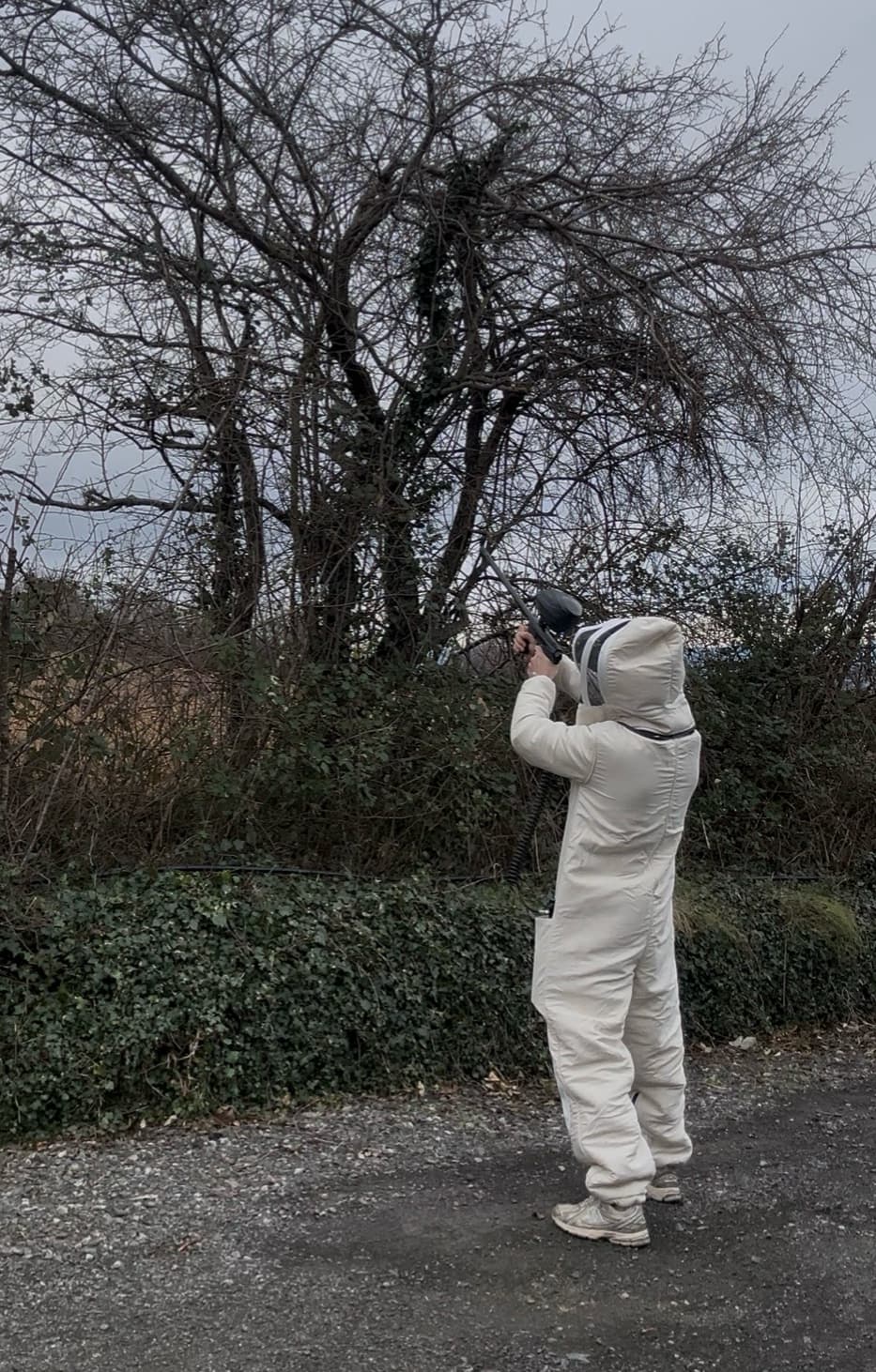 𝗖𝗟𝗘𝗥𝗠𝗢𝗡𝗧 𝗡𝗨𝗜𝗦𝗜𝗕𝗟𝗘𝗦 – EXTERMINATION & DÉRATISATION — société de nettoyage extrême à Clermont-Ferrand